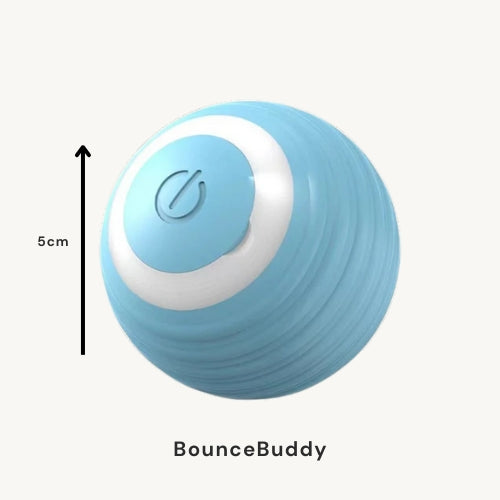 BounceBuddy – Der interaktive Bewegungsball für Hunde
