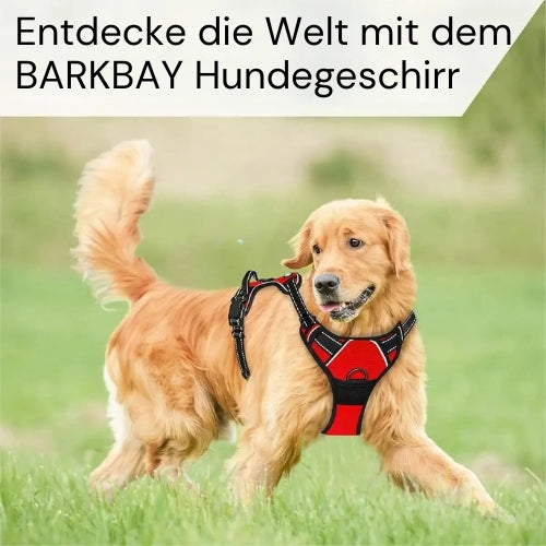 Praktisches Hunde Halsband & Geschirr Duo