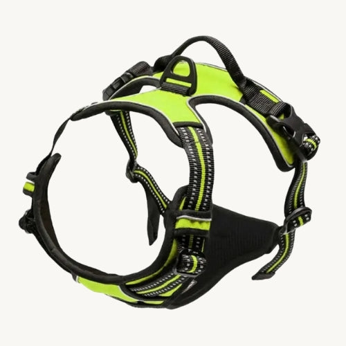 Praktisches Hunde Halsband & Geschirr Duo