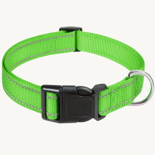 Reflektierendes Hundehalsband