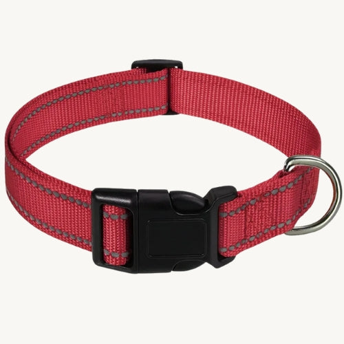 Reflektierendes Hundehalsband