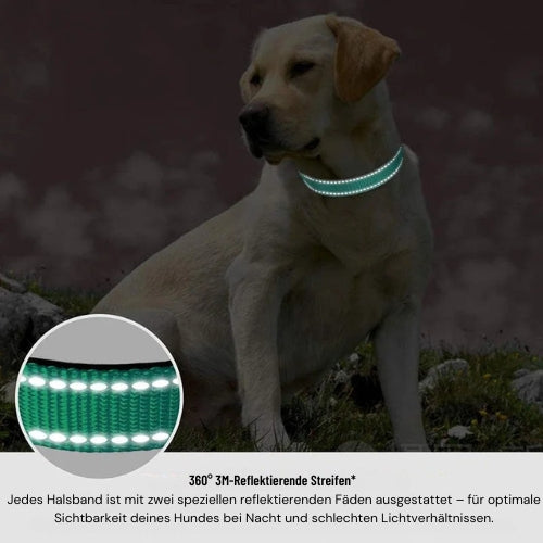 Reflektierendes Hundehalsband