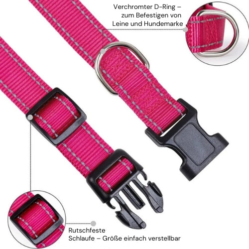 Reflektierendes Hundehalsband