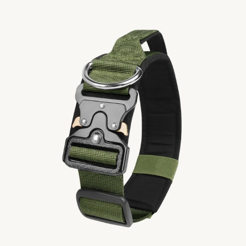 Taktisches Hundehalsband mit Zinkschnalle