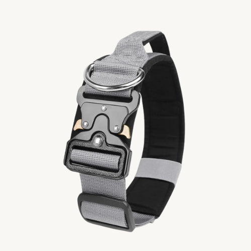 Taktisches Hundehalsband mit Zinkschnalle