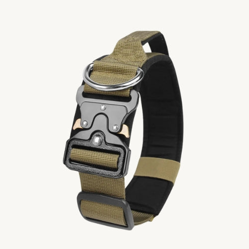 Taktisches Hundehalsband mit Zinkschnalle