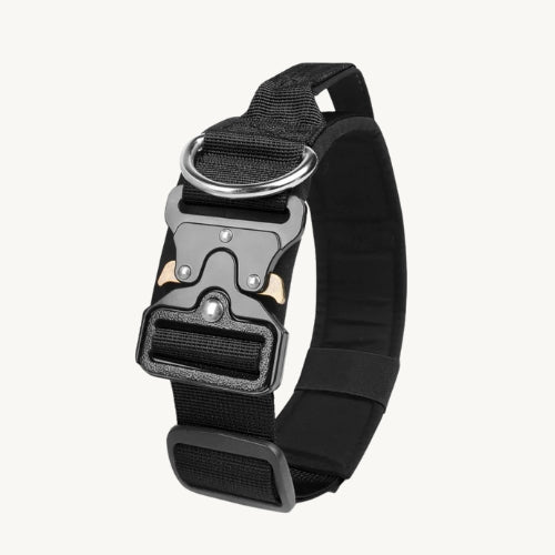 Taktisches Hundehalsband mit Zinkschnalle