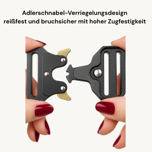 Taktisches Hundehalsband mit Zinkschnalle