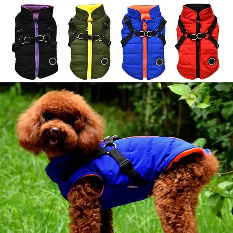 Coole Hundejacke mit Reißverschluß