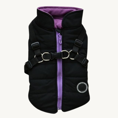 Coole Hundejacke mit Reißverschluß