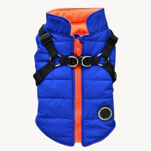 Coole Hundejacke mit Reißverschluß