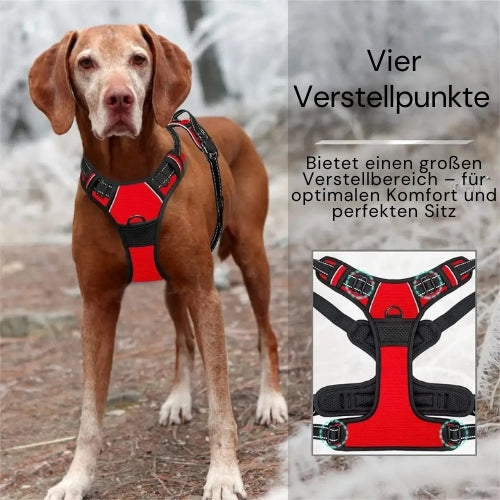 Praktisches Hunde Halsband & Geschirr Duo