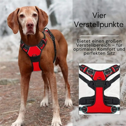 Praktisches Hunde Halsband & Geschirr Duo
