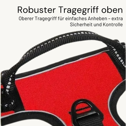 Praktisches Hunde Halsband & Geschirr Duo