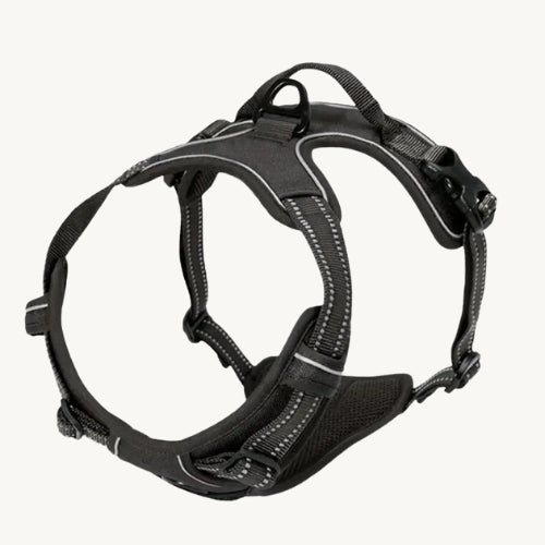 Praktisches Hunde Halsband & Geschirr Duo