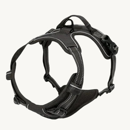 Praktisches Hunde Halsband & Geschirr Duo