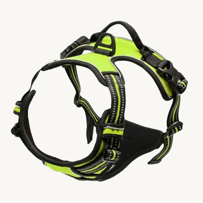 Praktisches Hunde Halsband & Geschirr Duo