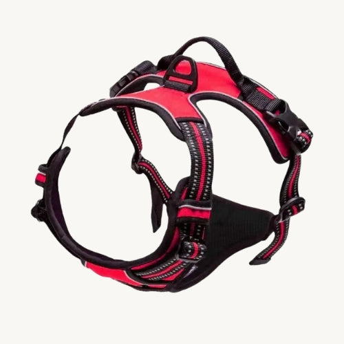 Praktisches Hunde Halsband & Geschirr Duo