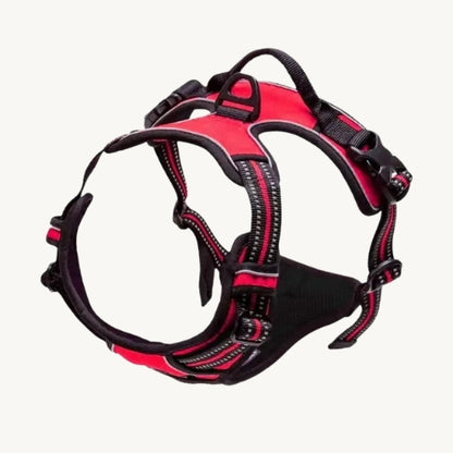 Praktisches Hunde Halsband & Geschirr Duo