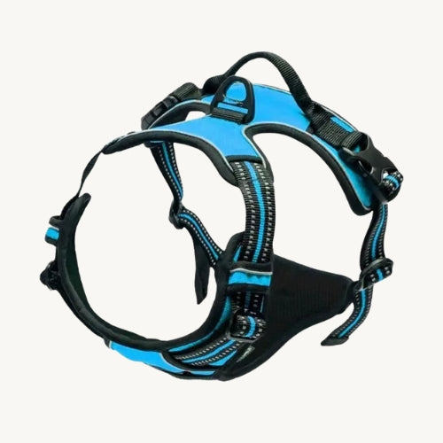 Praktisches Hunde Halsband & Geschirr Duo