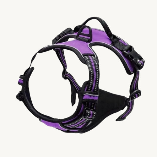 Praktisches Hunde Halsband & Geschirr Duo