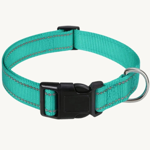 Reflektierendes Hundehalsband