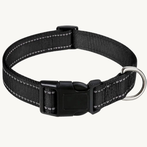 Reflektierendes Hundehalsband
