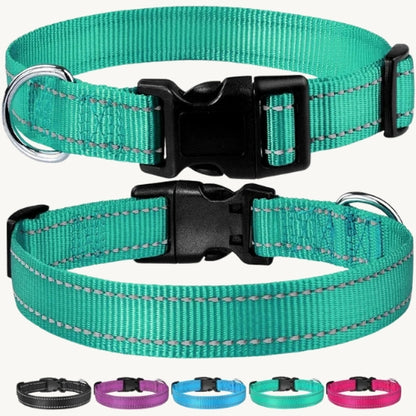 Reflektierendes Hundehalsband
