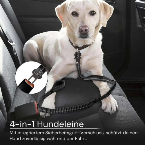 Funktionale und robuste Taktik-Bungee-Leine