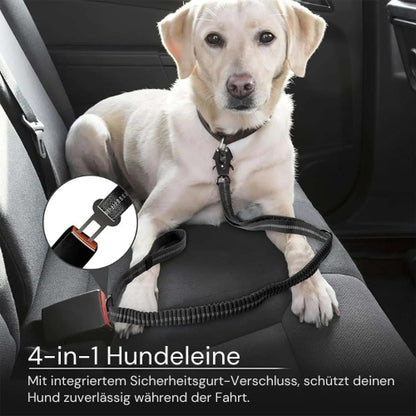 Funktionale und robuste Taktik-Bungee-Leine