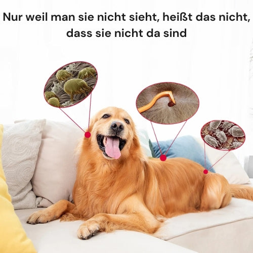 Ultraschall Anti-Insekten Anhänger