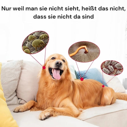 Ultraschall Anti-Insekten Anhänger