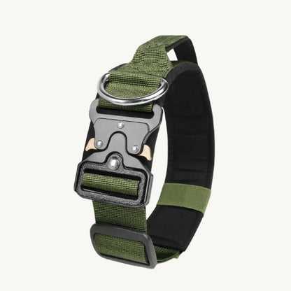 Taktisches Hundehalsband mit Zinkschnalle
