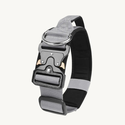 Taktisches Hundehalsband mit Zinkschnalle