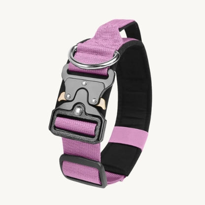 Taktisches Hundehalsband mit Zinkschnalle