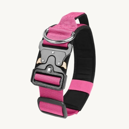 Taktisches Hundehalsband mit Zinkschnalle