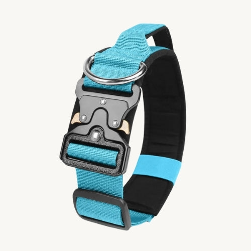 Taktisches Hundehalsband mit Zinkschnalle